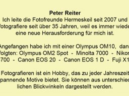 Reiter Peter